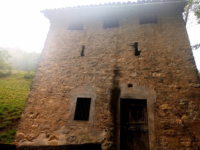 IMMERSI NEL VERDE! Costa Serina