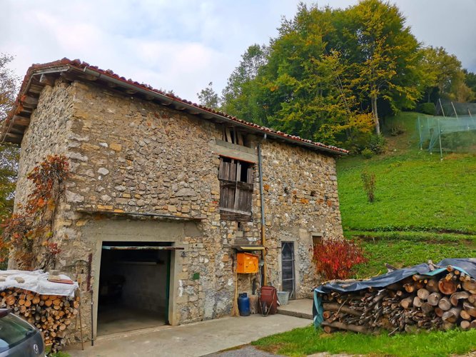 IMMERSO NEL VERDE! Serina