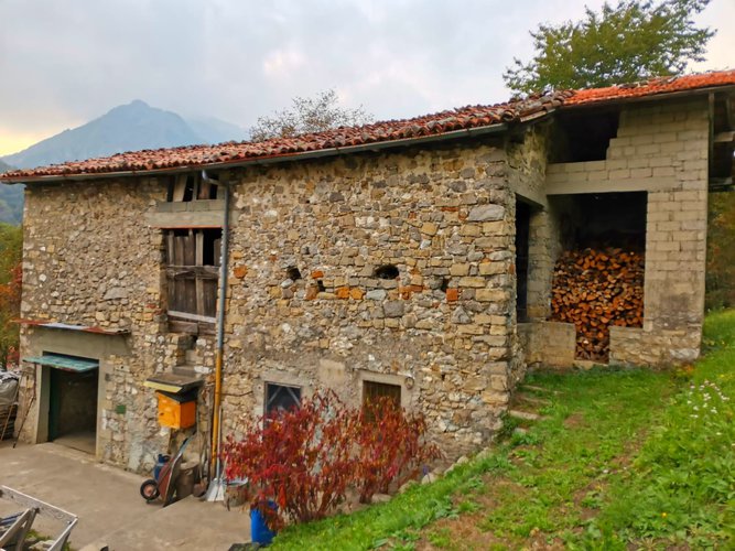 IMMERSO NEL VERDE! Serina