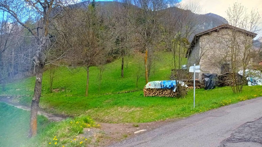 IMMERSO NEL VERDE! Serina