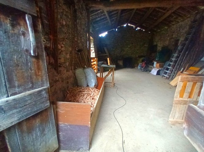 IMMERSO NEL VERDE! Serina