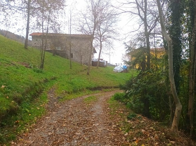 IMMERSO NEL VERDE! Serina