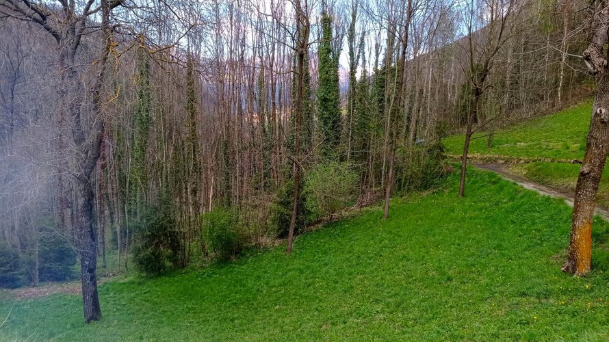 IMMERSO NEL VERDE! Serina