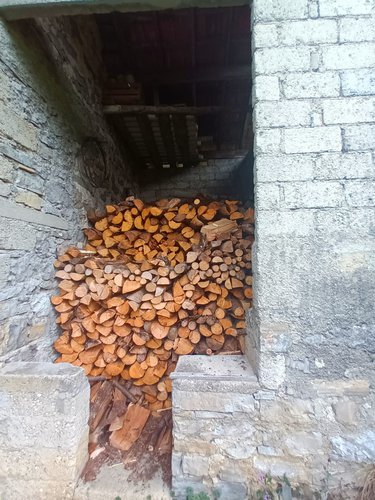 IMMERSO NEL VERDE! Serina