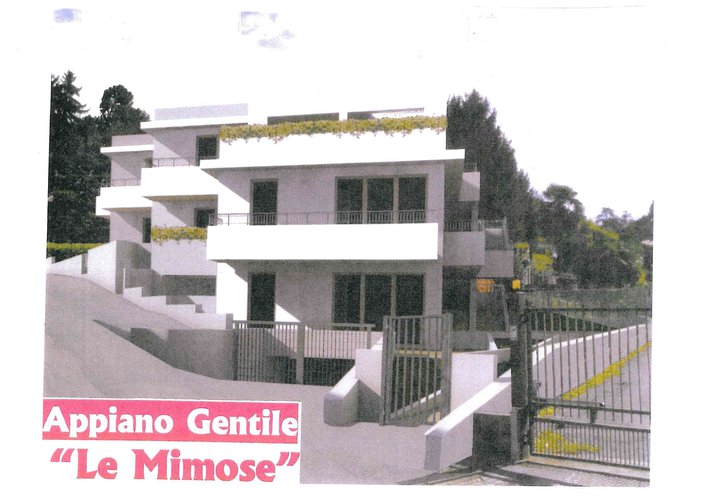 Titolo Nuovo trilocale con giardino Appiano Gentile