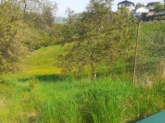 PORZIONE DI CASA IMMERSA NEL VERDE!! Zogno