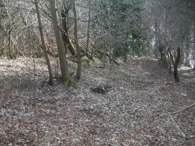 Studio Casa propone Rustico a Oltre Il Colle Oltre il Colle