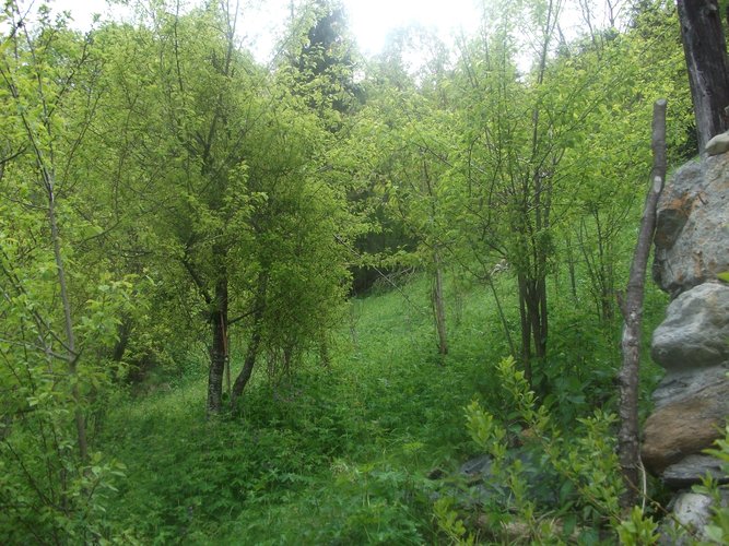 CARATTERISTICO RUSTICHETTO! Valleve