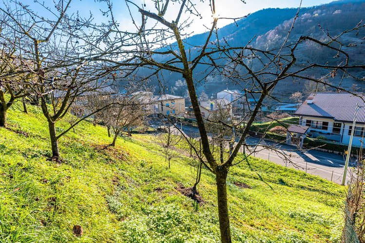 Terreno Residenziale Pradalunga