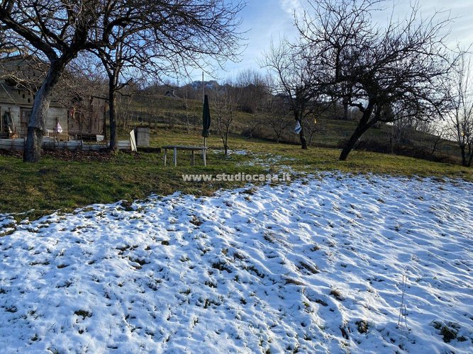 ANTICO BORGHETTO! Taleggio