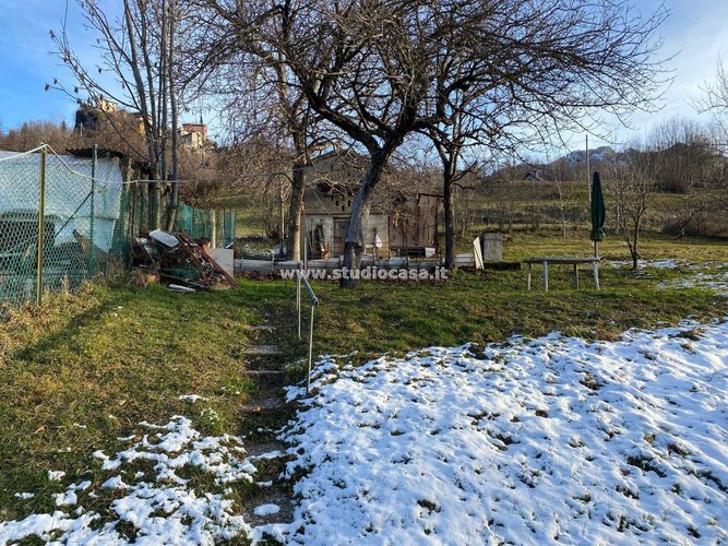 ANTICO BORGHETTO! Taleggio