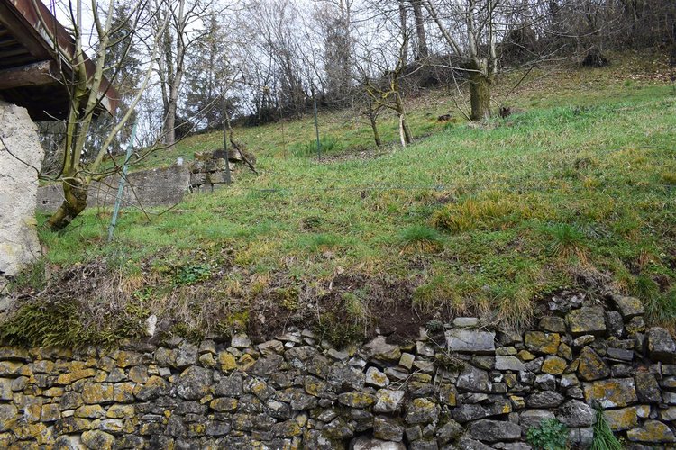 Costa Serina-Ambriola a quota mt 600, immerso nel verde, porzione di rustico e vasto terreno a prato Costa Serina