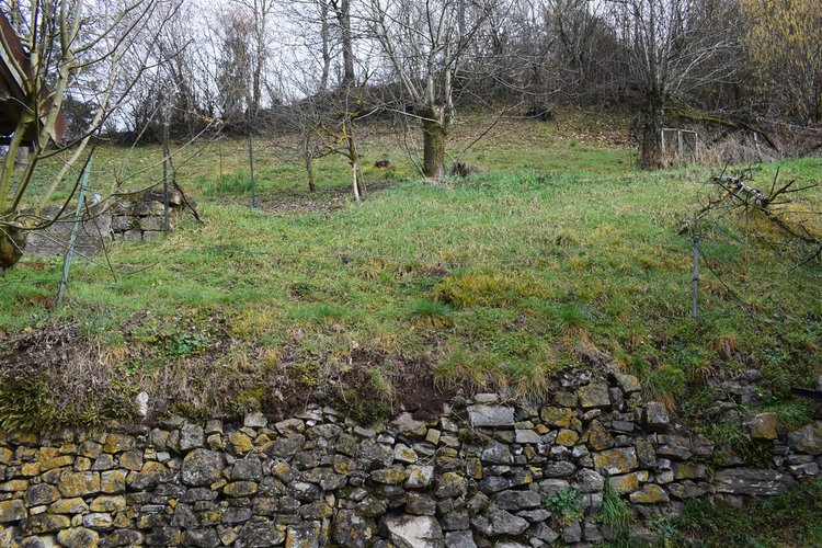 Costa Serina-Ambriola a quota mt 600, immerso nel verde, porzione di rustico e vasto terreno a prato Costa Serina