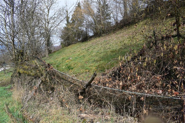 Costa Serina-Ambriola a quota mt 600, immerso nel verde, porzione di rustico e vasto terreno a prato Costa Serina