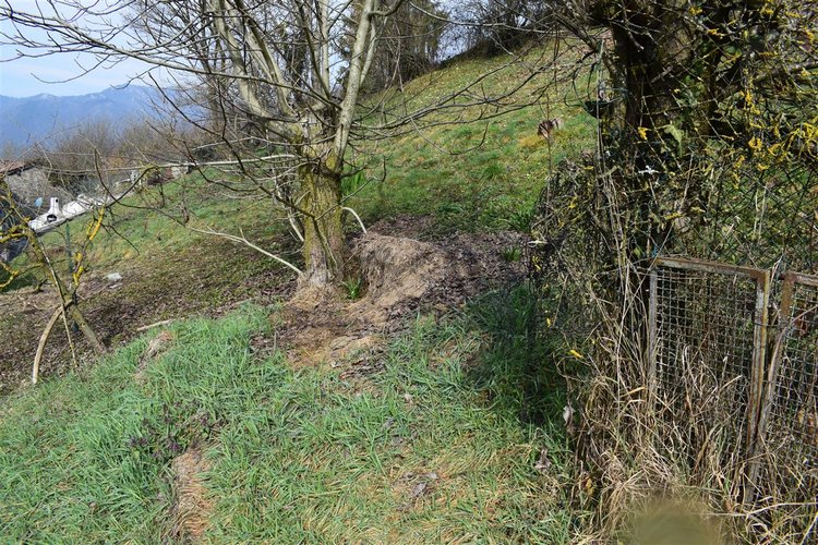 Costa Serina-Ambriola a quota mt 600, immerso nel verde, porzione di rustico e vasto terreno a prato Costa Serina