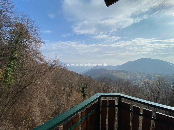 OCCASIONE DI FINE INVERNO! Aviatico