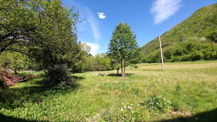 Rustico/Casale/Corte Asso