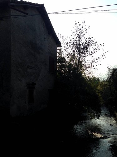 Rustico/Casale/Corte Asso