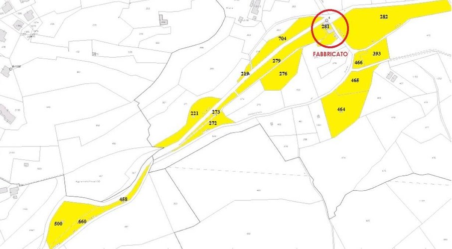 Rustico/Casale/Corte Asso