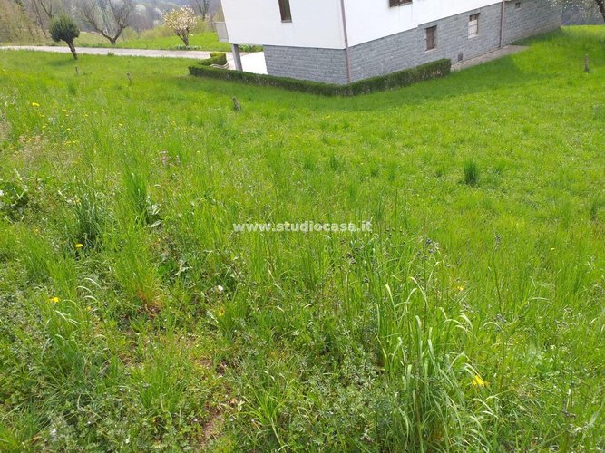 SOLEGGIATISSIMO TERRENO EDIFICABILE!
