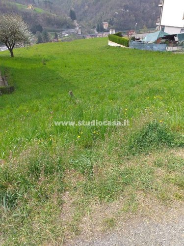 SOLEGGIATISSIMO TERRENO EDIFICABILE! San Giovanni Bianco