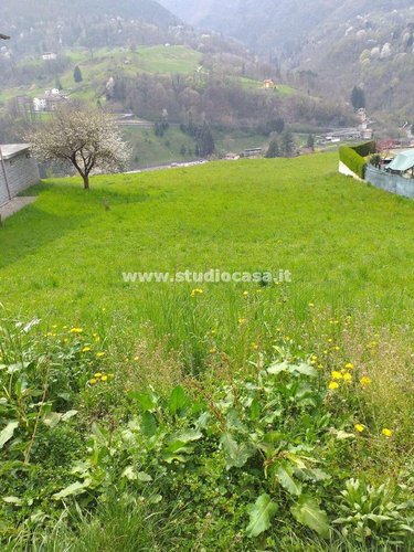 SOLEGGIATISSIMO TERRENO EDIFICABILE! San Giovanni Bianco