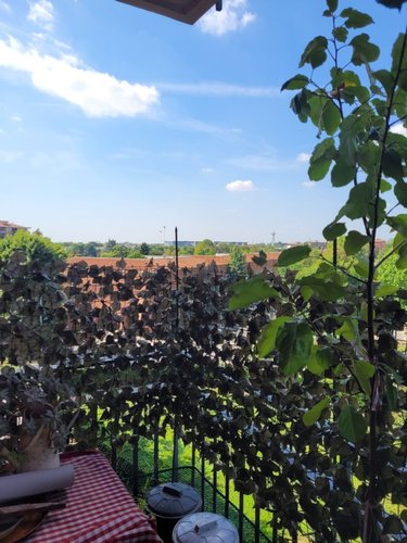 Piazzale San Paolo Bergamo