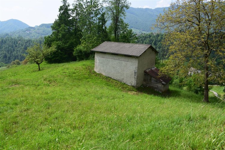 Taleggio, immerso nel verde, introvabile rustico indipendente con godibilissimo terreno a prato Taleggio