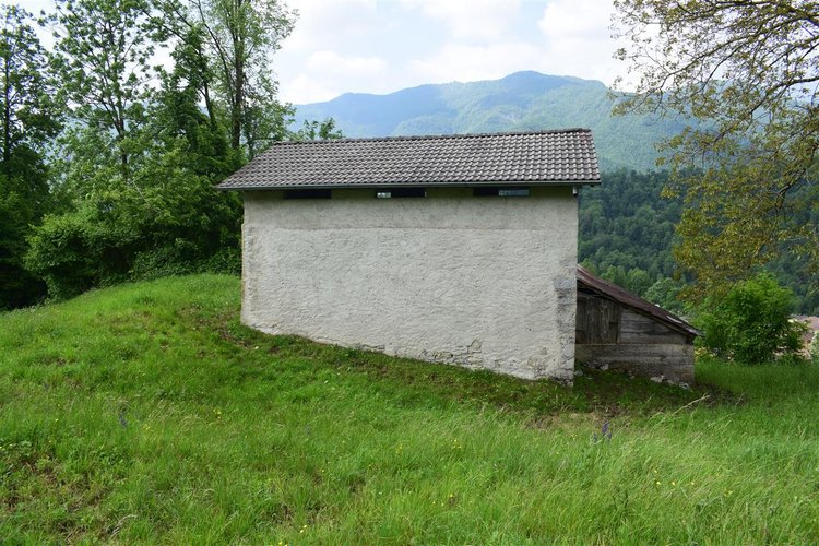 Taleggio, immerso nel verde, introvabile rustico indipendente con godibilissimo terreno a prato Taleggio