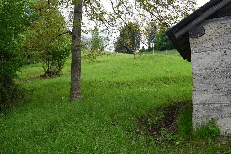Taleggio, immerso nel verde, introvabile rustico indipendente con godibilissimo terreno a prato Taleggio
