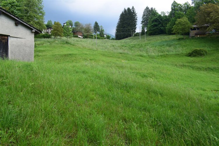 Taleggio, immerso nel verde, introvabile rustico indipendente con godibilissimo terreno a prato Taleggio