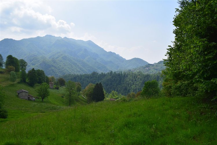 Taleggio, immerso nel verde, introvabile rustico indipendente con godibilissimo terreno a prato Taleggio