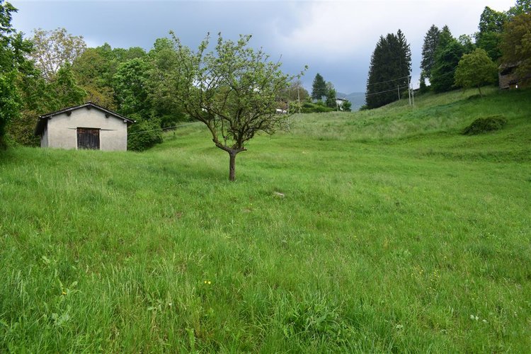 Taleggio, immerso nel verde, introvabile rustico indipendente con godibilissimo terreno a prato Taleggio