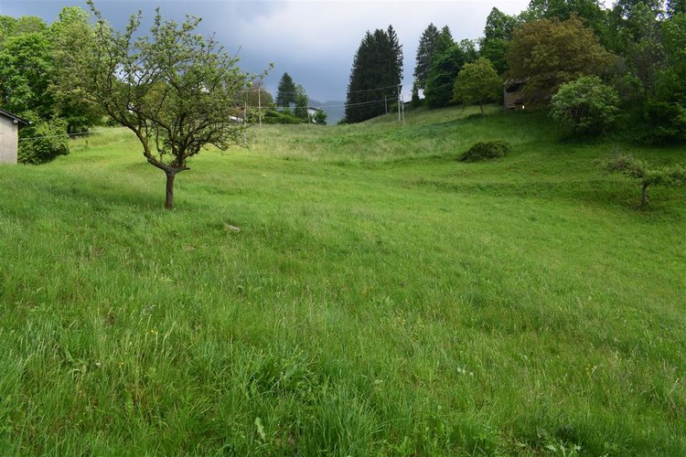 Taleggio, immerso nel verde, introvabile rustico indipendente con godibilissimo terreno a prato Taleggio