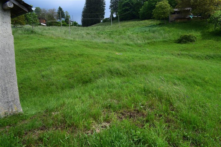 Taleggio, immerso nel verde, introvabile rustico indipendente con godibilissimo terreno a prato Taleggio