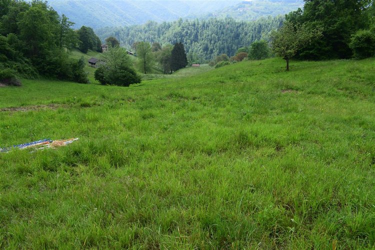 Taleggio, immerso nel verde, introvabile rustico indipendente con godibilissimo terreno a prato Taleggio