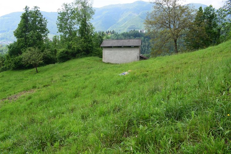 Taleggio, immerso nel verde, introvabile rustico indipendente con godibilissimo terreno a prato Taleggio