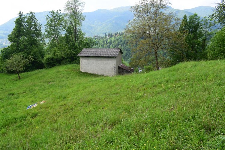 Taleggio, immerso nel verde, introvabile rustico indipendente con godibilissimo terreno a prato Taleggio