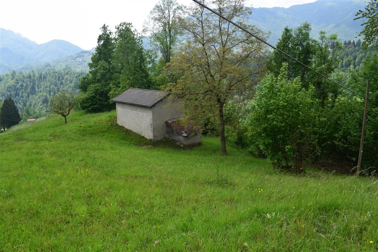 Taleggio, immerso nel verde, introvabile rustico indipendente con godibilissimo terreno a prato Taleggio
