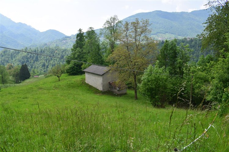Taleggio, immerso nel verde, introvabile rustico indipendente con godibilissimo terreno a prato Taleggio