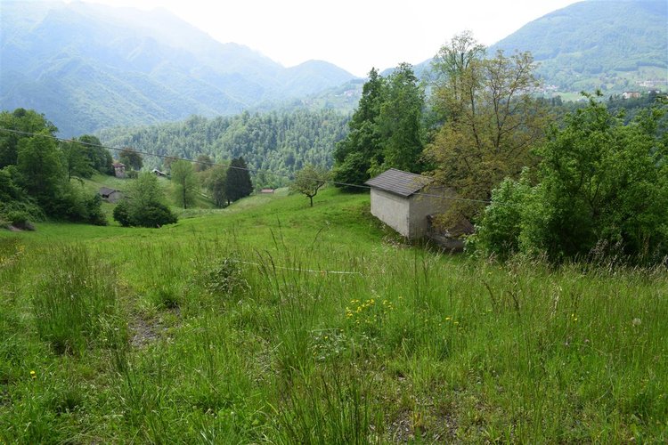 Taleggio, immerso nel verde, introvabile rustico indipendente con godibilissimo terreno a prato Taleggio