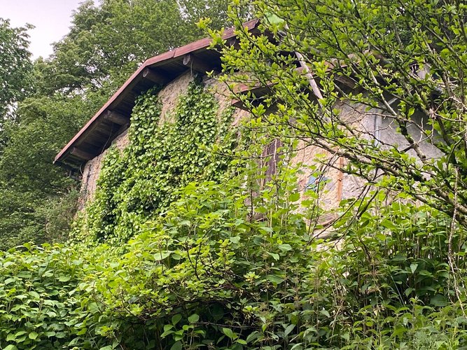 IMMERSO NELLA NATURA! Piazzolo