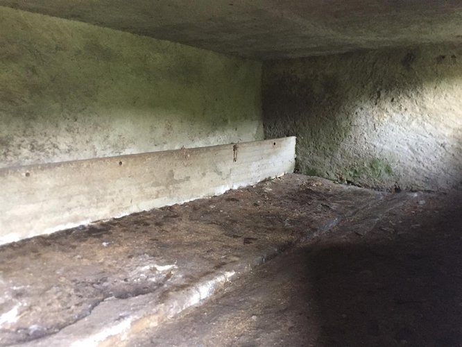 Taleggio, immerso nel verde, introvabile rustico indipendente con godibilissimo terreno a prato Taleggio