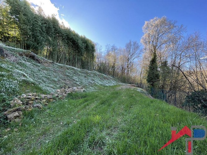 Terreno edificabile ampia metratura