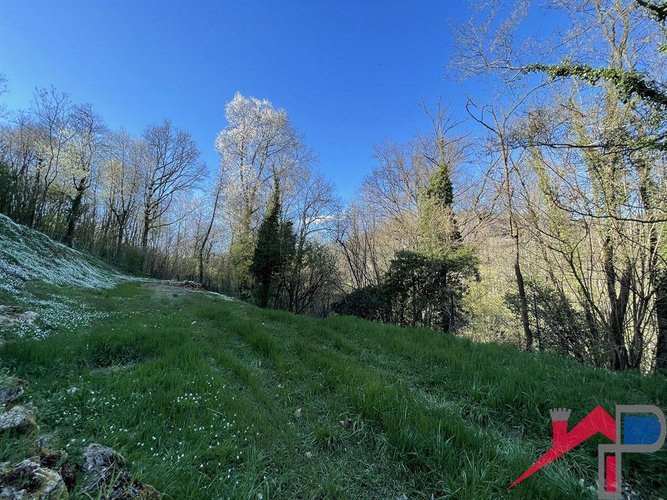 Terreno edificabile ampia metratura Palazzago