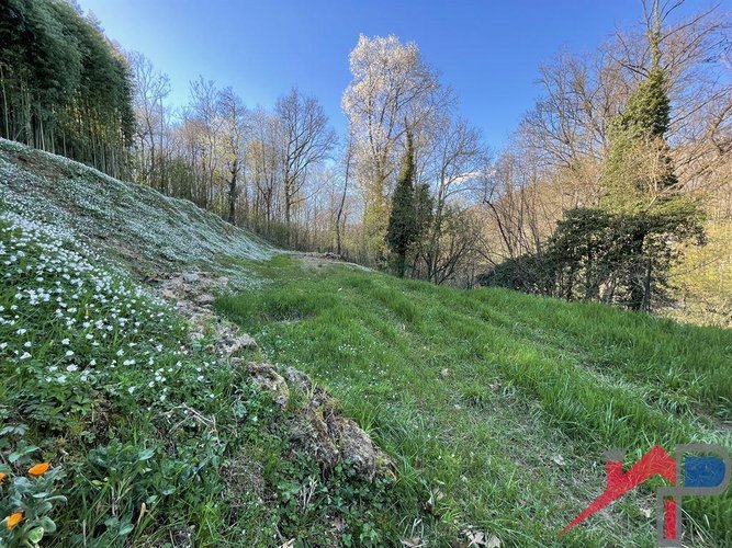 Terreno edificabile ampia metratura Palazzago