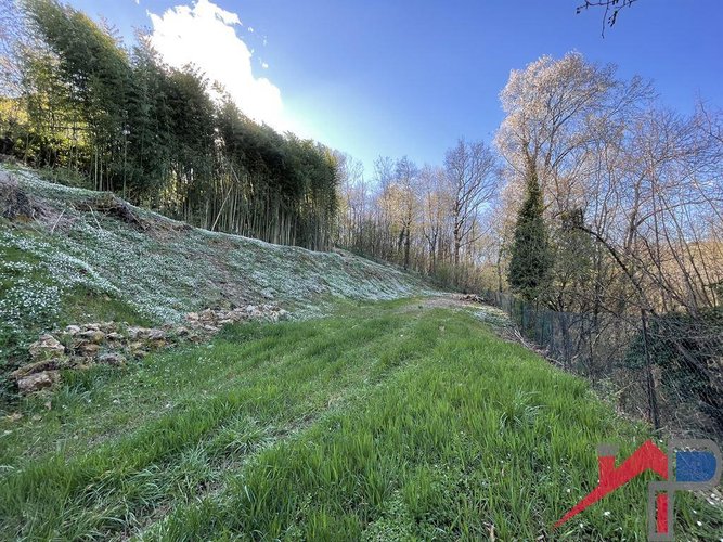 Terreno edificabile ampia metratura Palazzago