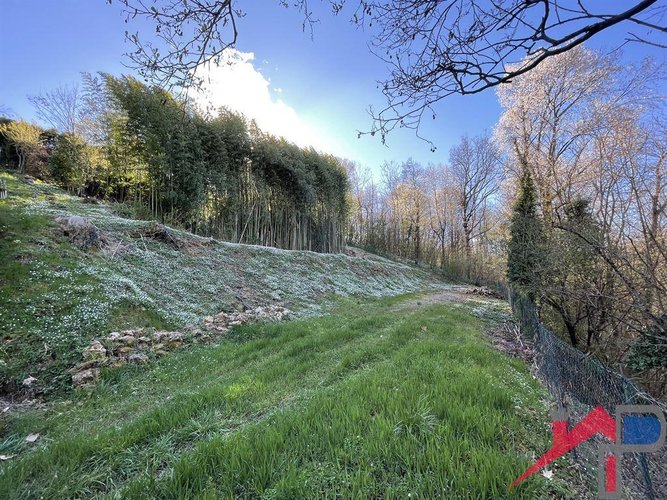 Terreno edificabile ampia metratura Palazzago