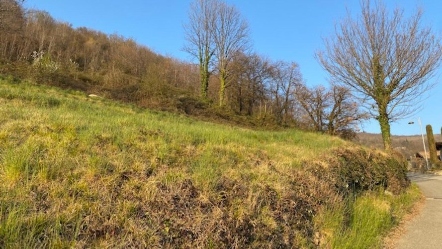 Terreno residenziale