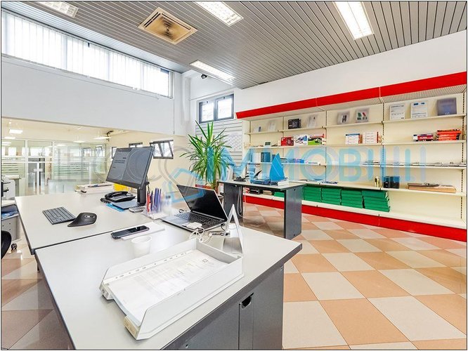 NEGOZIO PESCARENICO Lecco